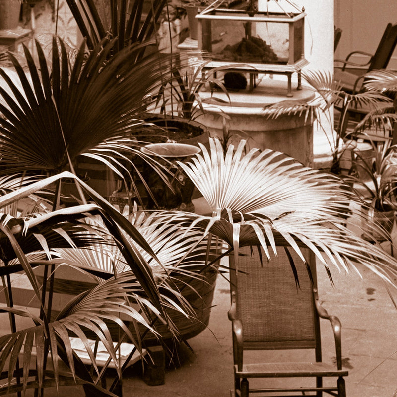 High resolution detail of the Hotel Habana garden patio photograph
