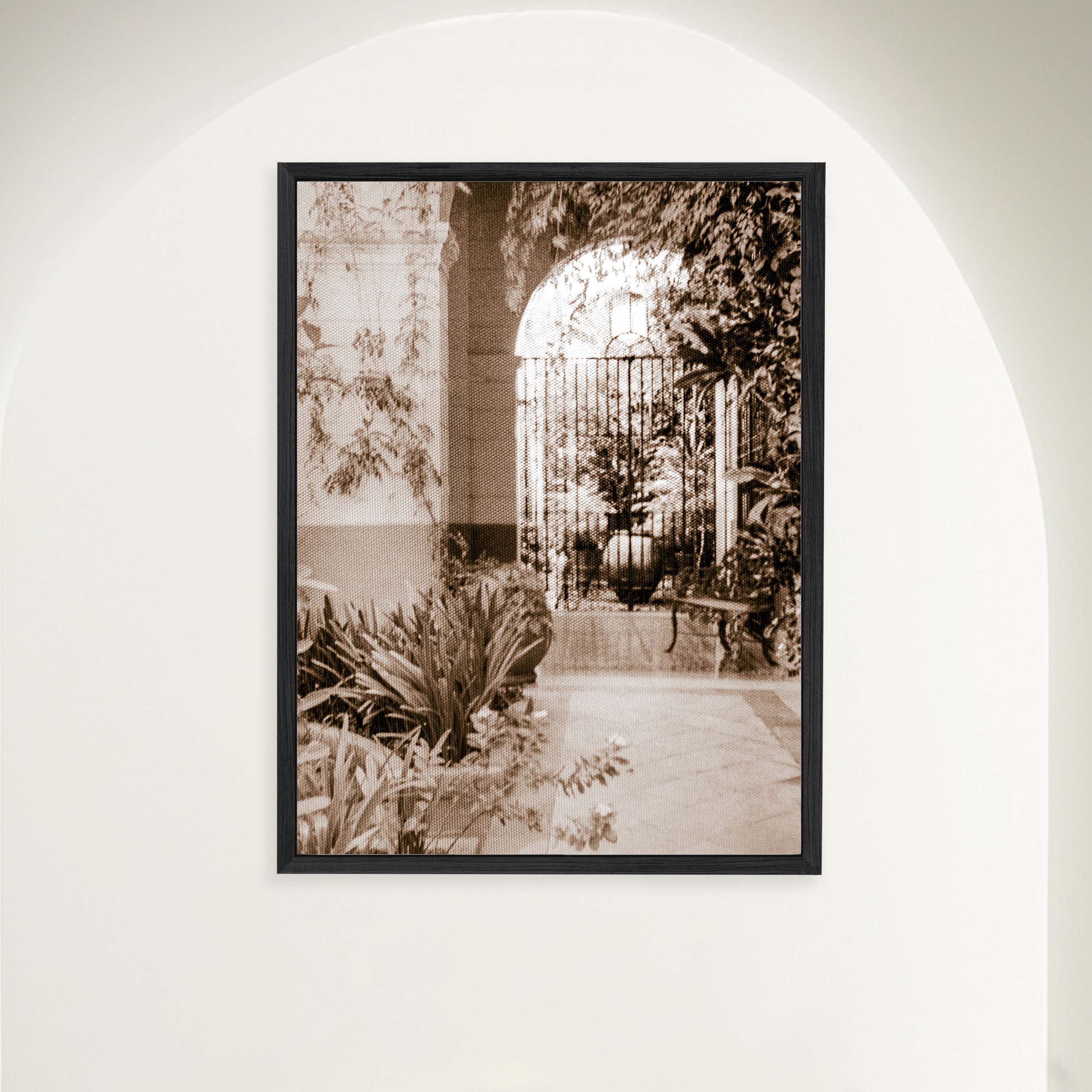 Fragrant Cuban Garden in Monastery Patio
