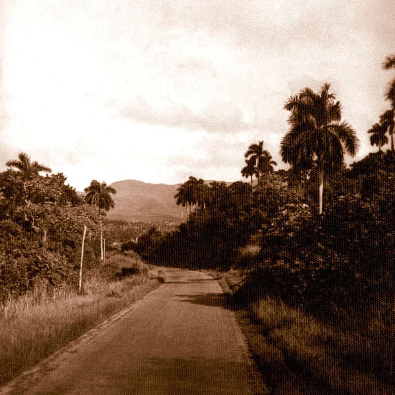 Stop Along the Carretera Central, Cuba 1948