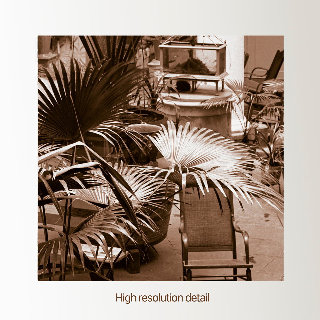 Hotel Habana - Cuban Garden Patio of early 1900s