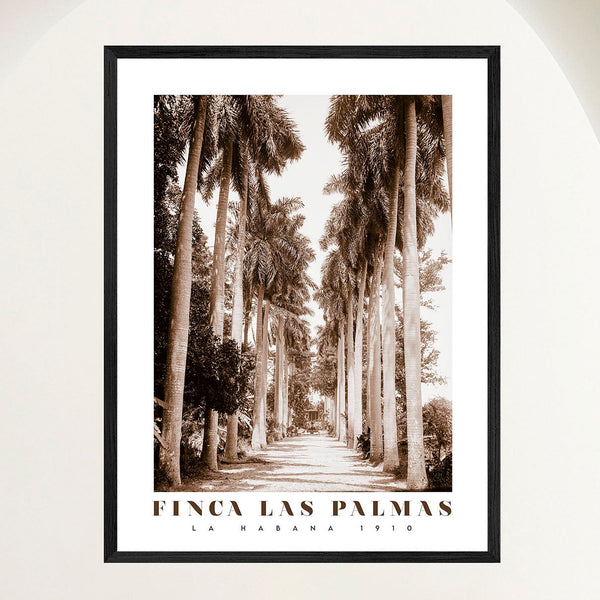 Vintage travel poster of royal palms rising over a dusty path at a 1910 Cuban country estate, framed in oak. Close view.