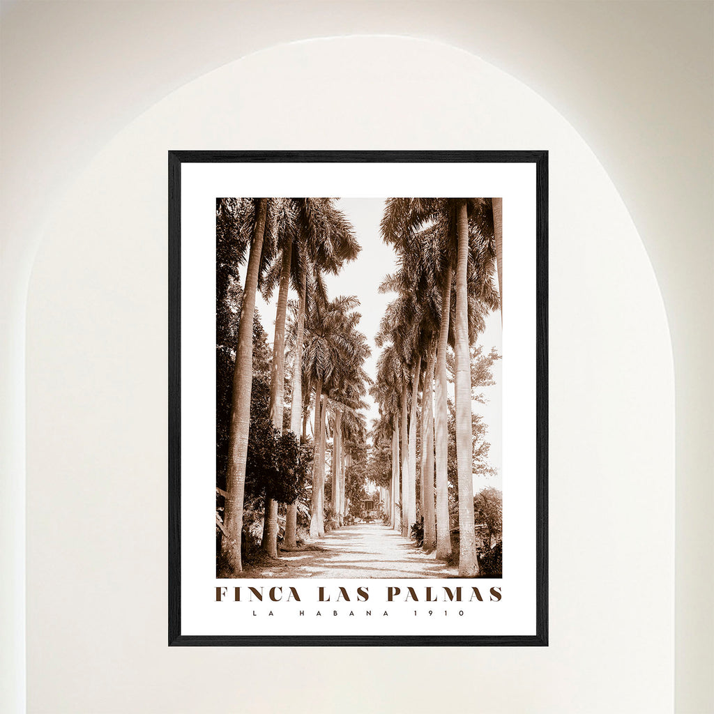 Finca Las Palmas - Old World Havana Estate