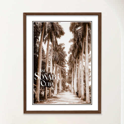 Vintage travel poster of a 1910 Havana garden avenue lined with royal palms, in sepia tones. Text reads "Asi Soñaba Cuba". Photograph is framed and shown straight on, with white border all around.