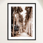 Vintage travel poster of a sepia palm avenue leading to a Cuban country estate around 1900, framed in oak. Close view.