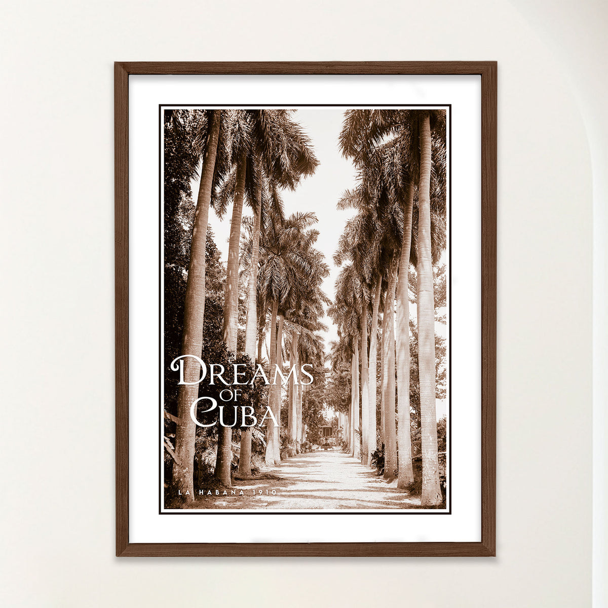 Dreams of Cuba - Avenue of Majestic Palms