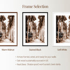 Dreams of Cuba - Avenue of Majestic Palms