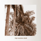 Dreams of Cuba - Avenue of Majestic Palms